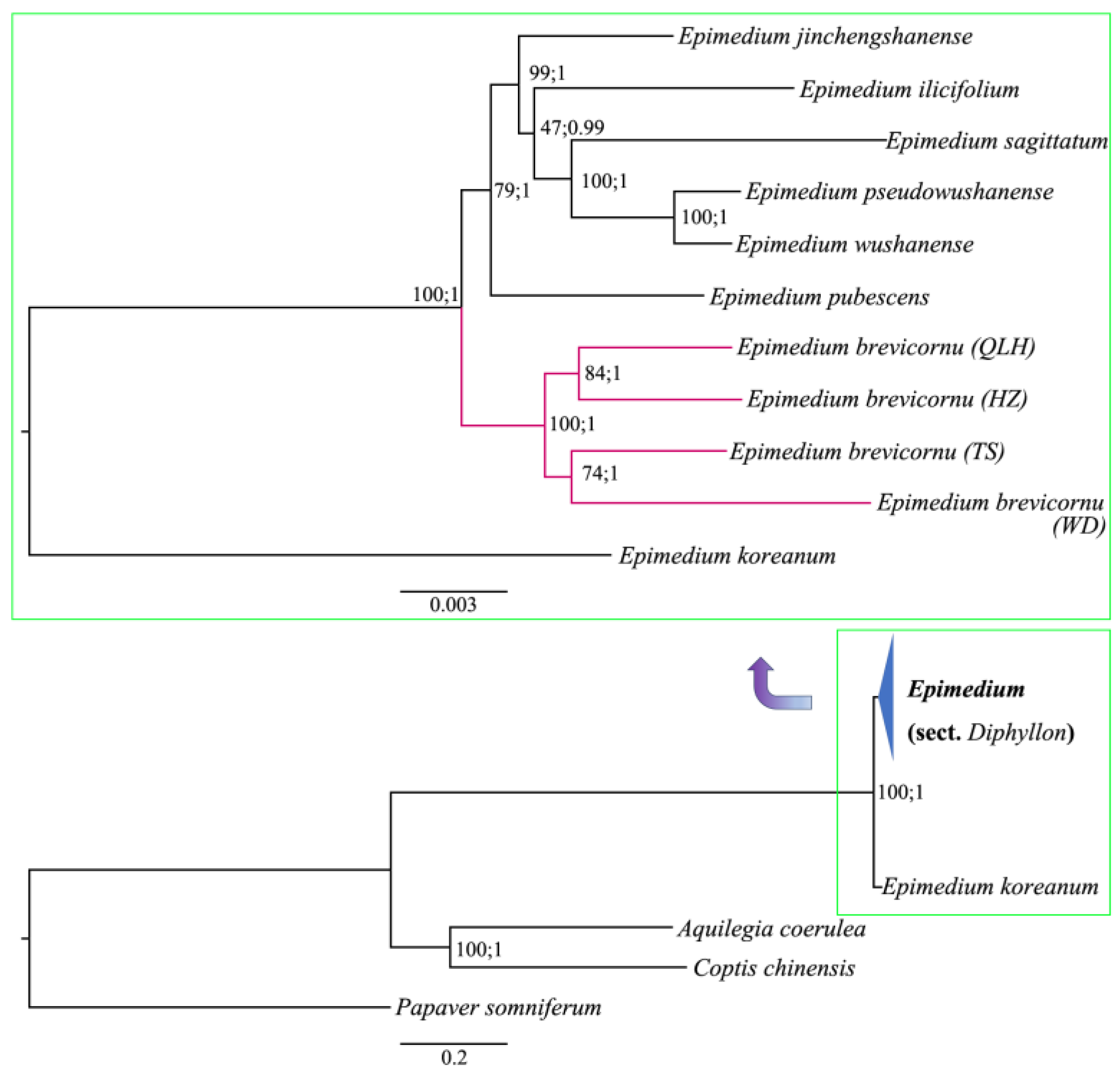 Agronomy 15 02139 g003 Agronomy 15 02139 g003