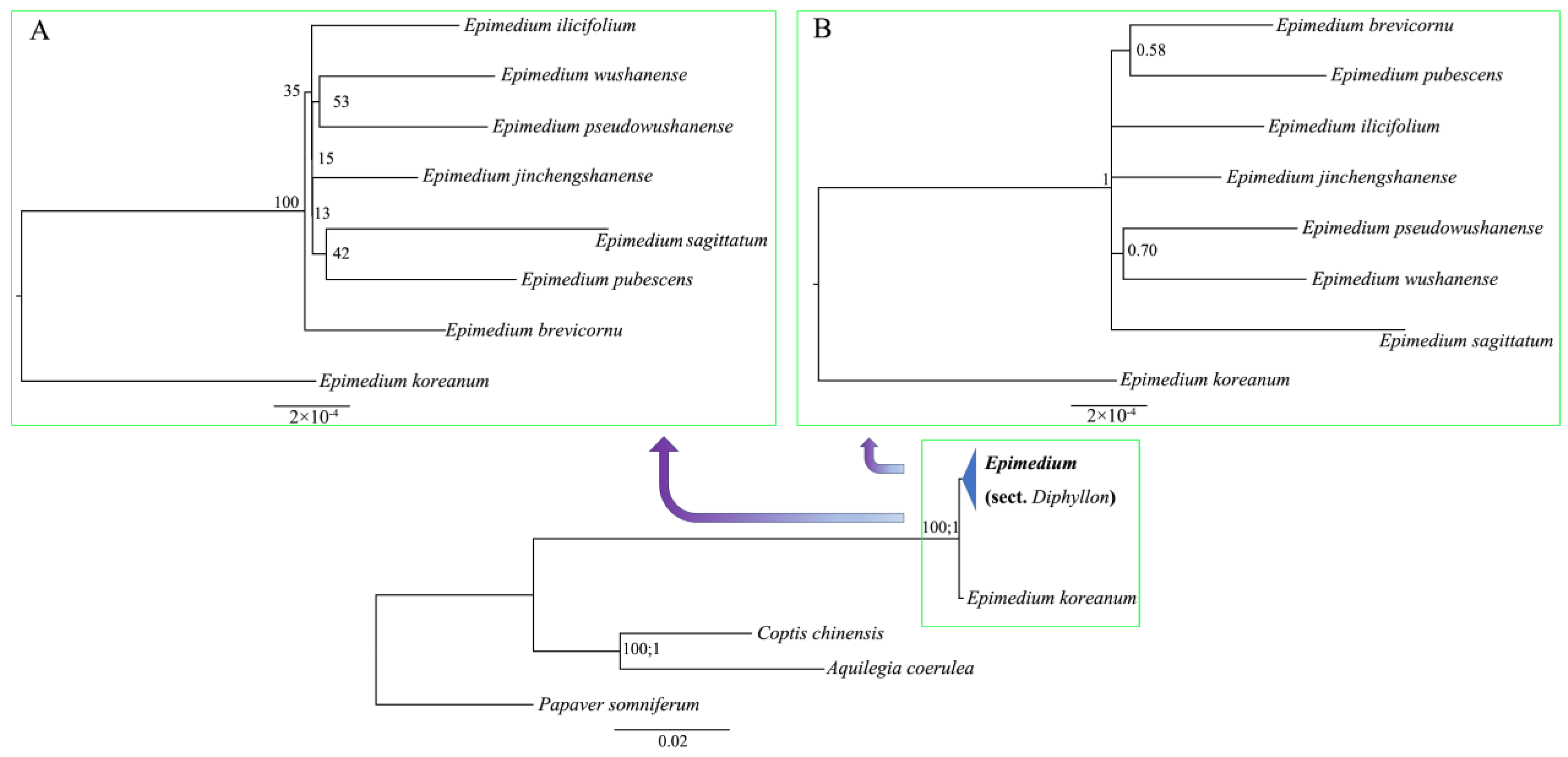 Agronomy 15 02139 g004 Agronomy 15 02139 g004