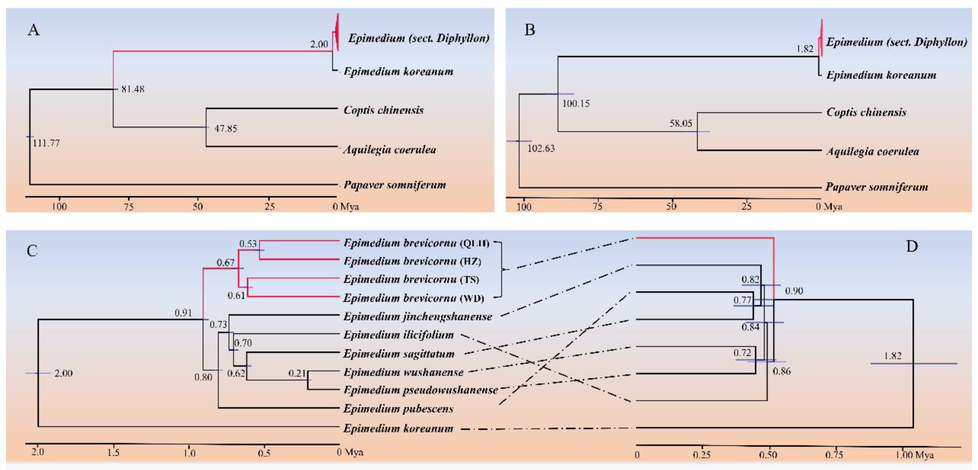 Agronomy 15 02139 g005 Agronomy 15 02139 g005