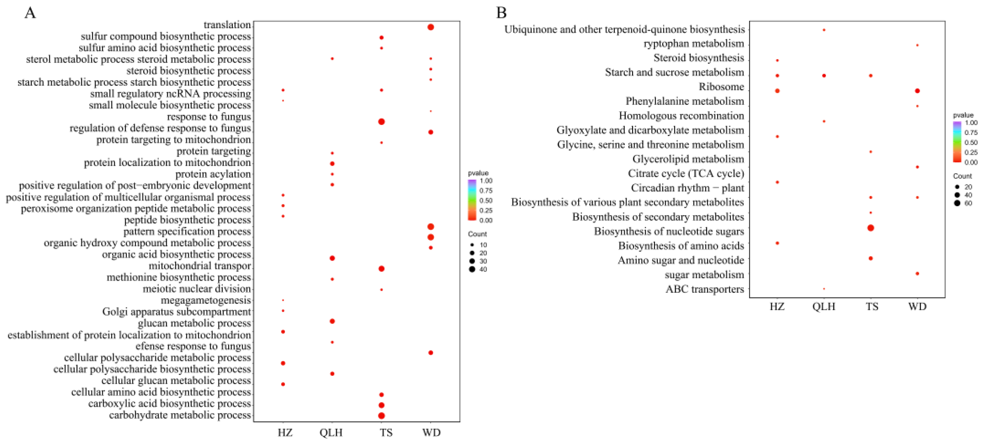 Agronomy 15 02139 g007 Agronomy 15 02139 g007
