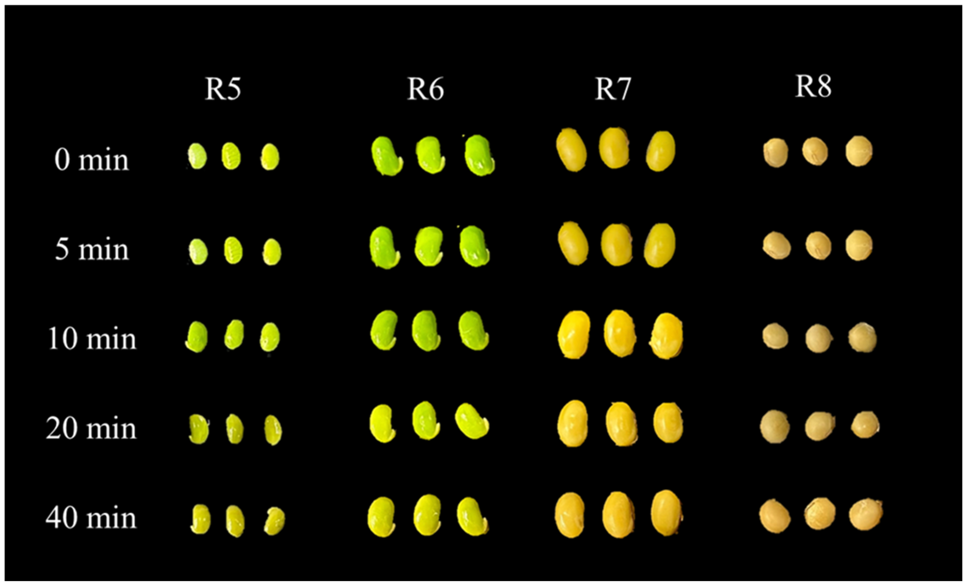 Agronomy 15 02155 g002 Agronomy 15 02155 g002