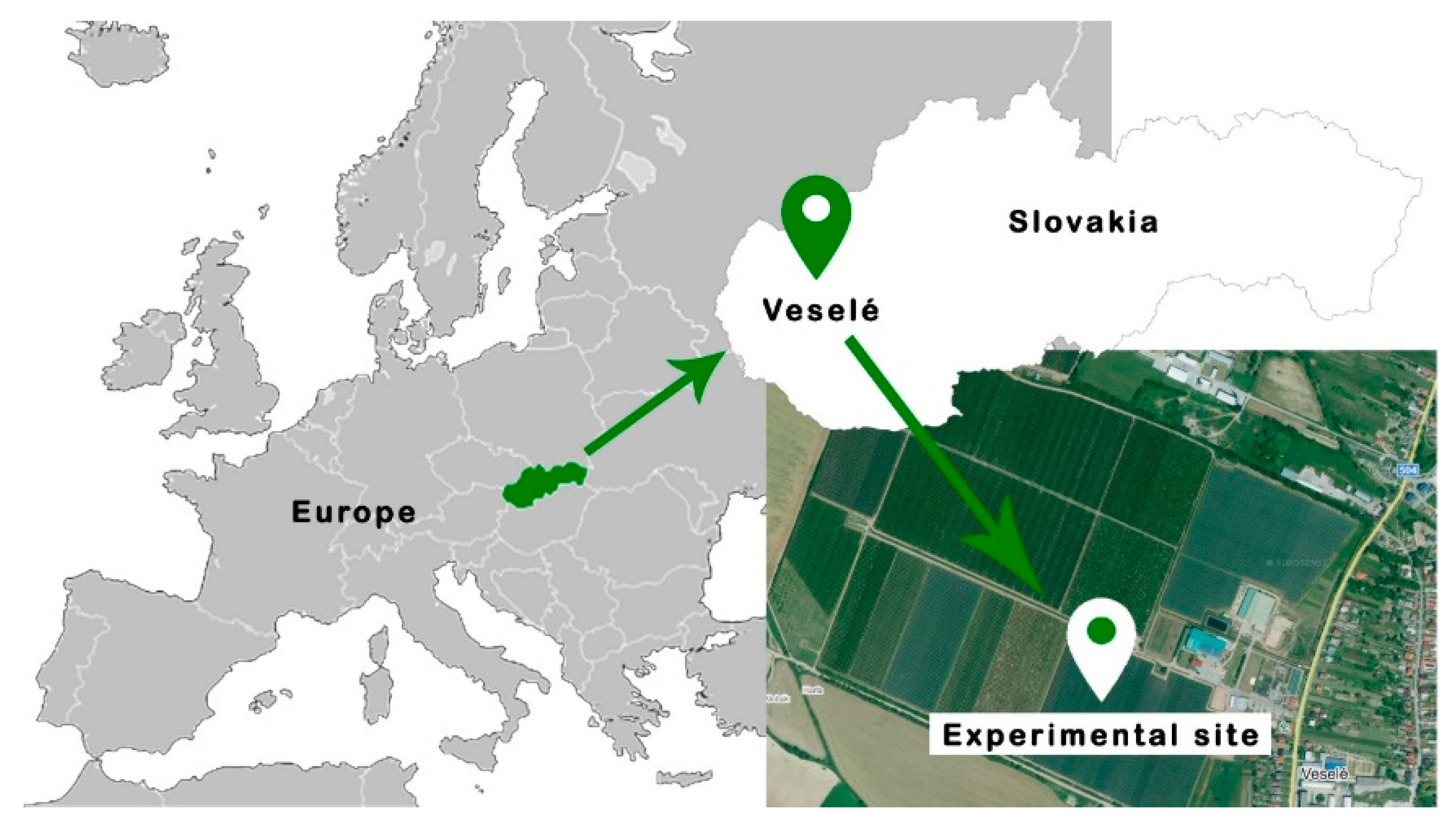 Agronomy 15 02161 g001 Agronomy 15 02161 g001