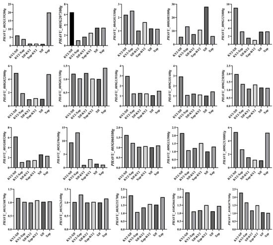 Agronomy 15 02176 g0a2
