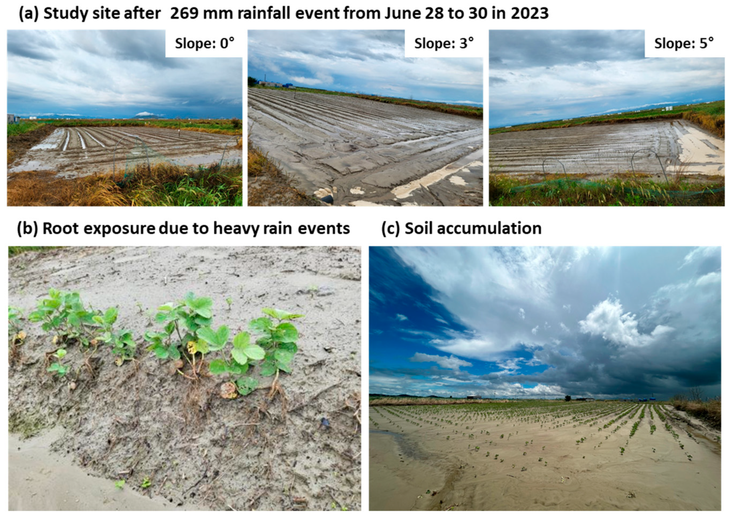 Agronomy 15 02177 g003