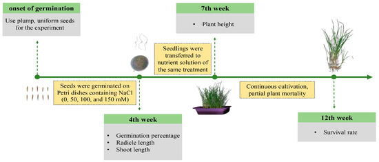 Agronomy 15 02192 g001