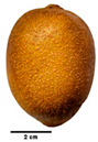 Agronomy 15 02201 i002 Agronomy 15 02201 i002