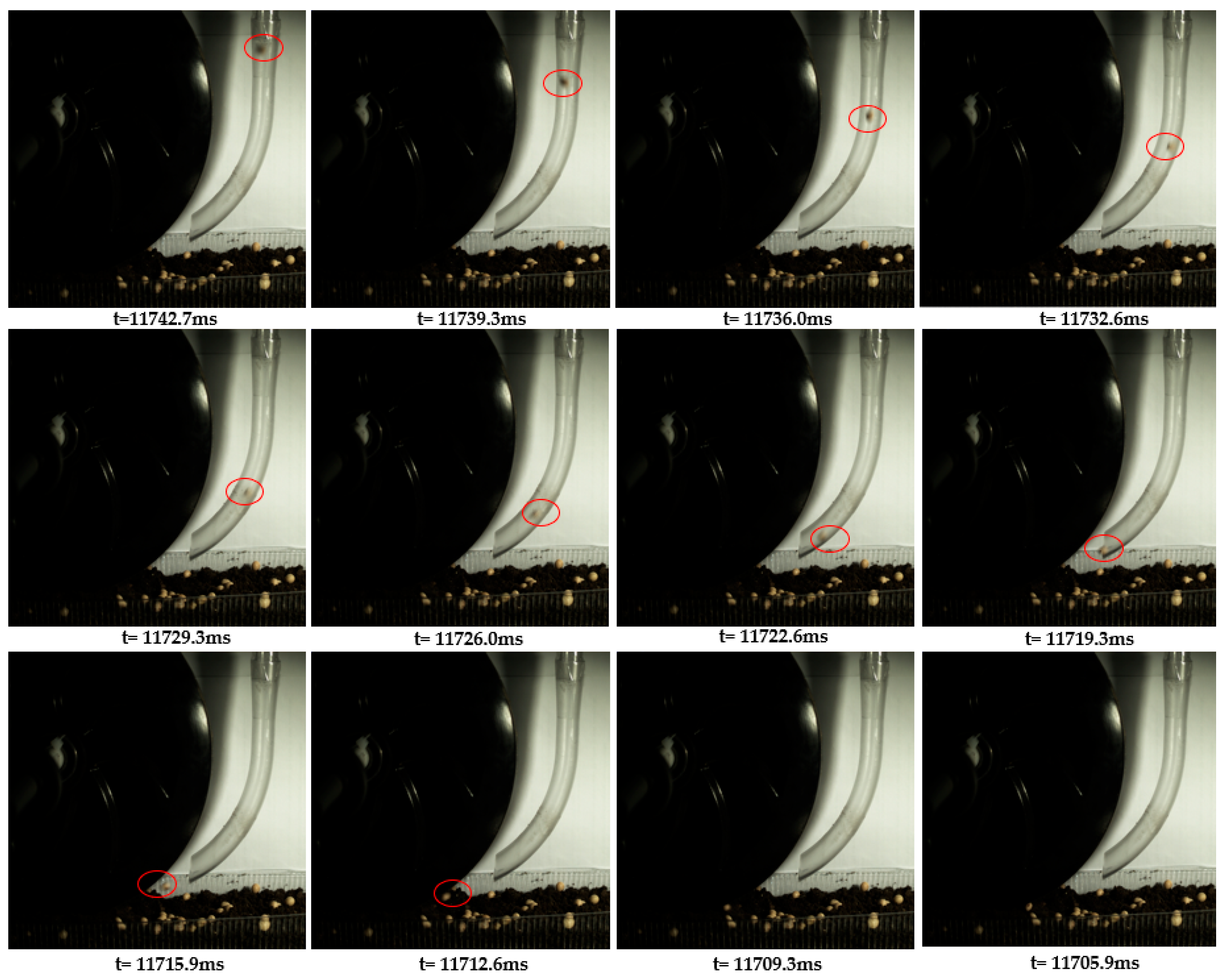 Agronomy 15 02202 g011 Agronomy 15 02202 g011