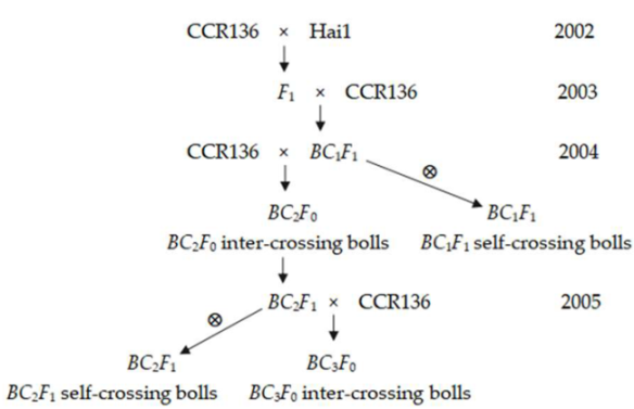 Agronomy 15 02203 i001
