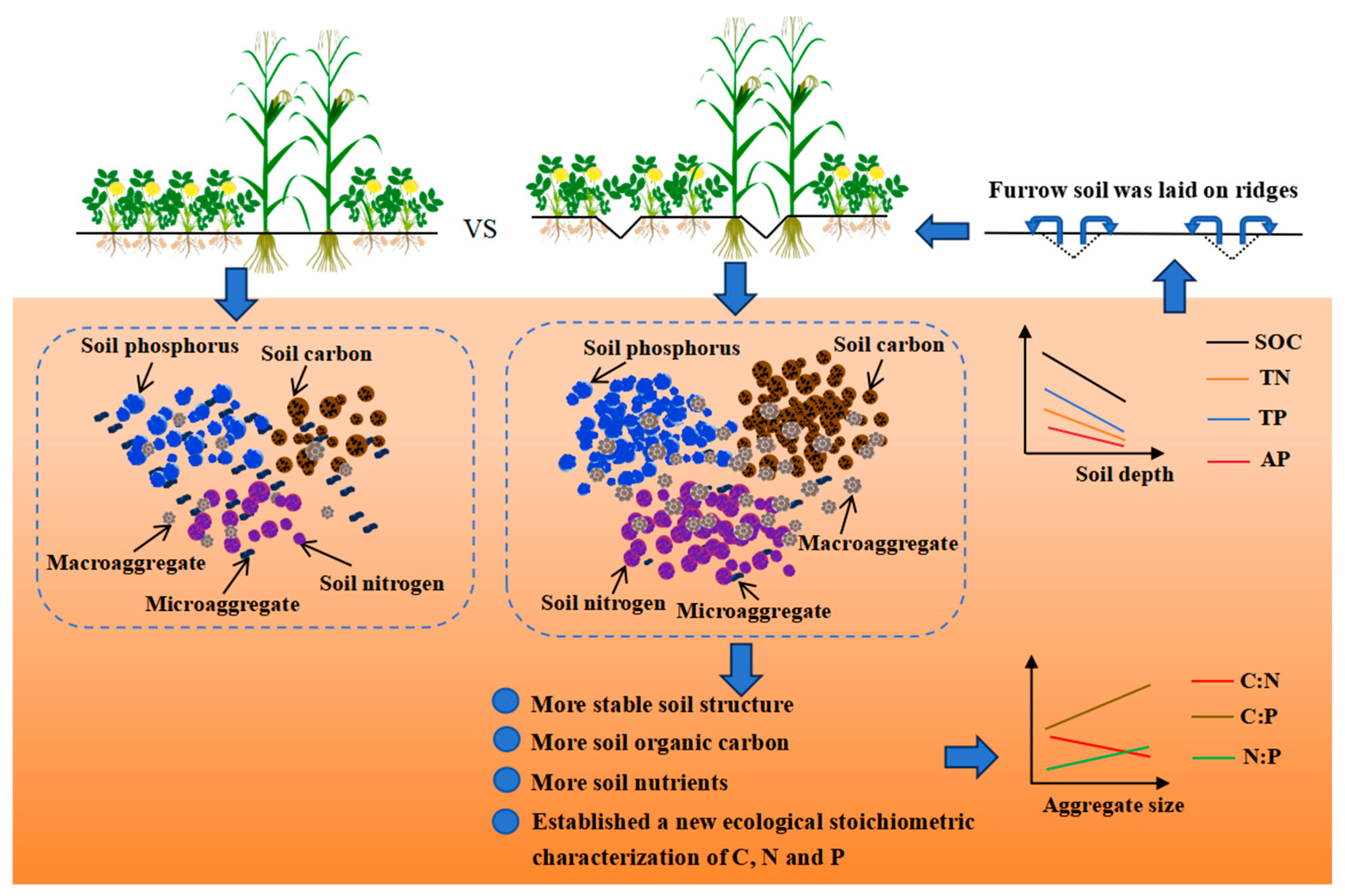 Agronomy 15 02227 g001