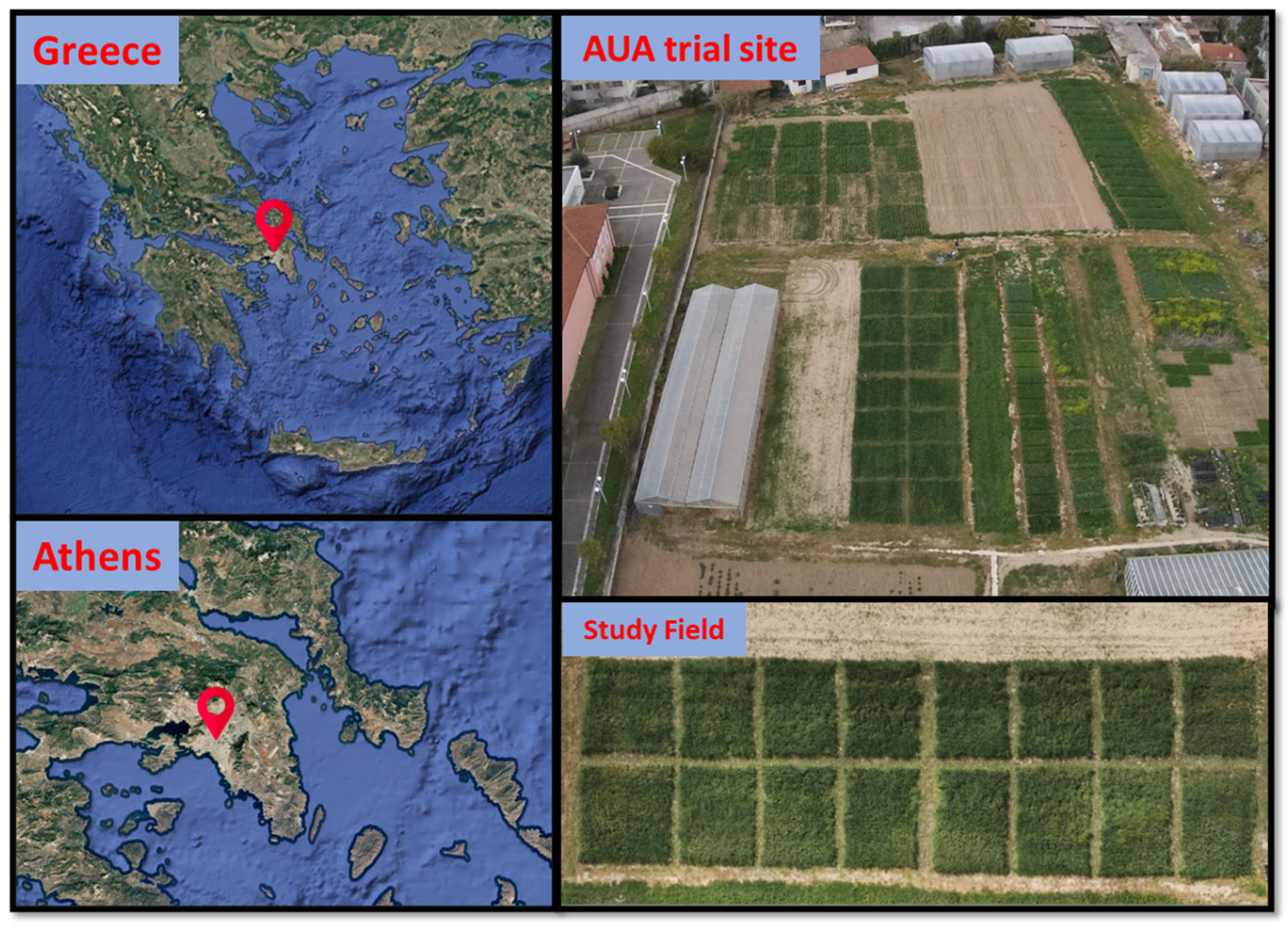 Agronomy 15 02244 g001