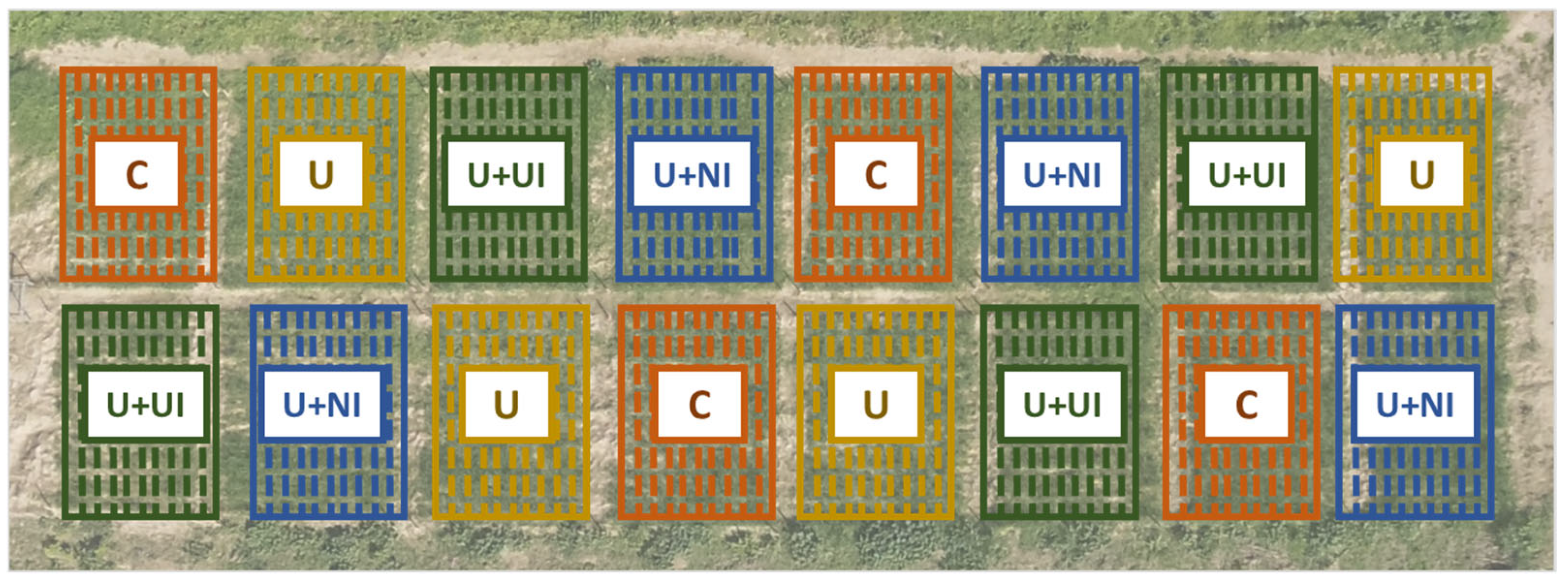 Agronomy 15 02244 g003
