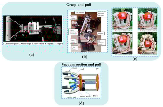 Agronomy 15 02283 g003