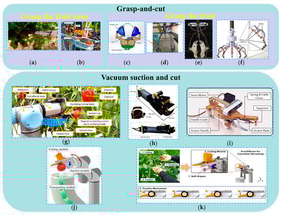 Agronomy 15 02283 g006