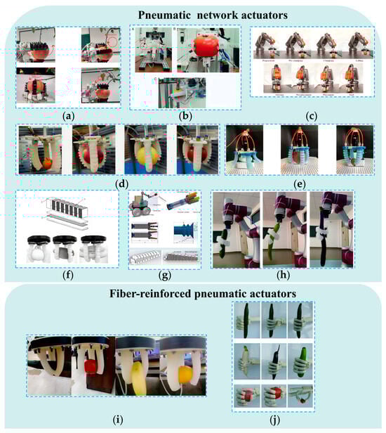 Agronomy 15 02283 g009