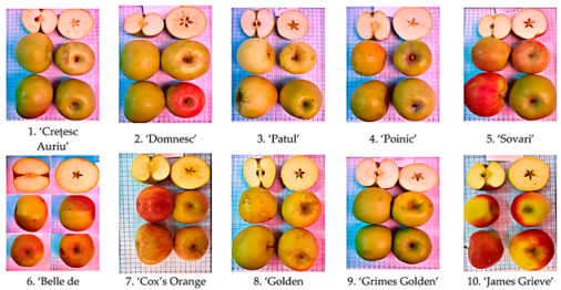 Agronomy 15 02283 i002