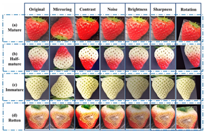 Agronomy 15 02283 i004