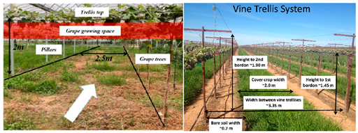 Agronomy 15 02283 i008