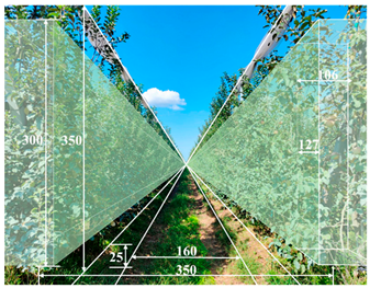 Agronomy 15 02283 i009