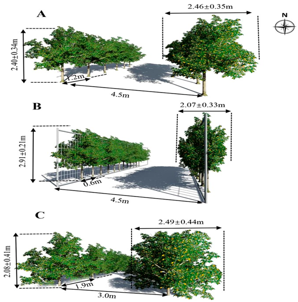 Agronomy 15 02283 i014