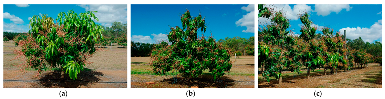 Agronomy 15 02283 i015