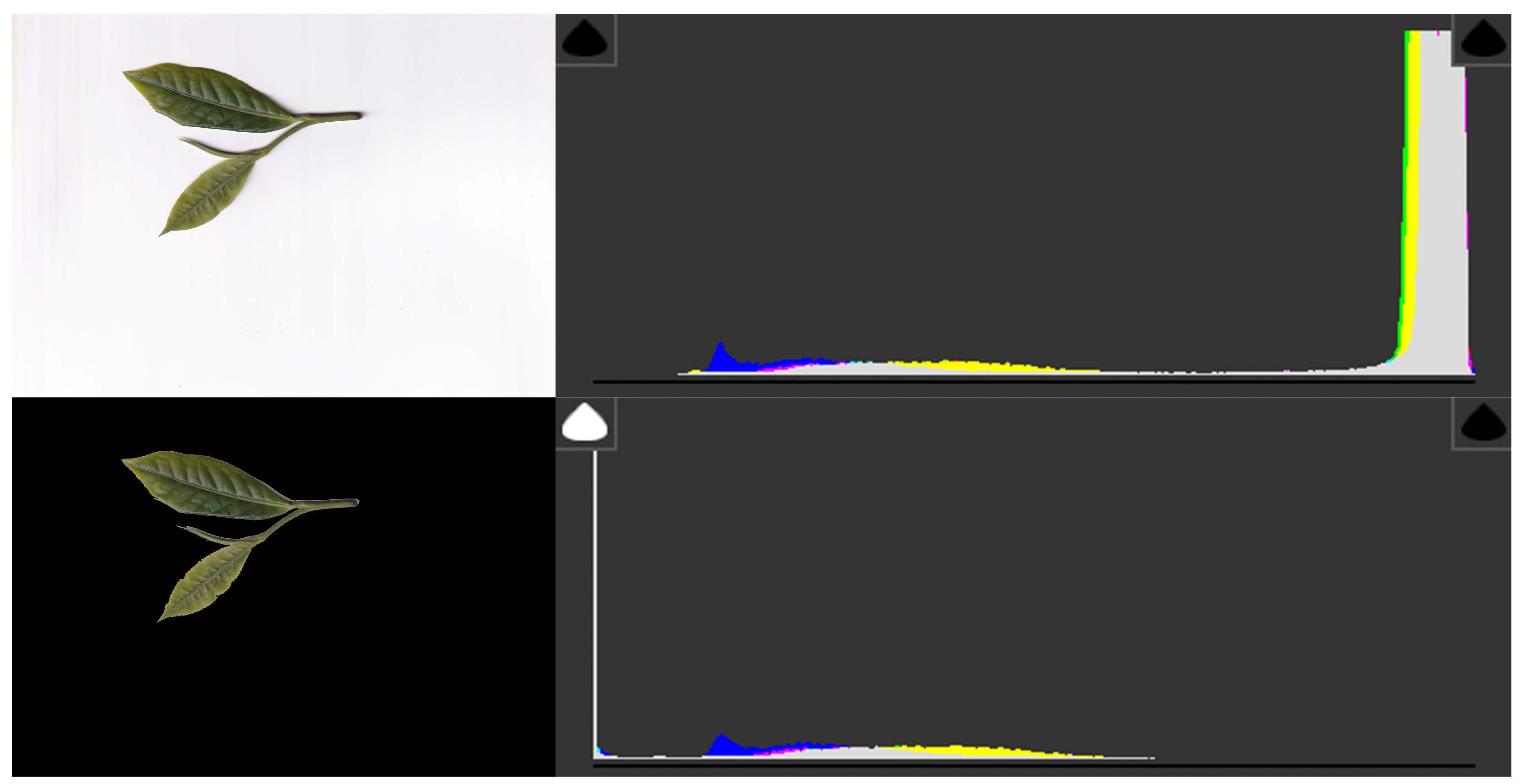 Agronomy 15 02355 g002 Agronomy 15 02355 g002