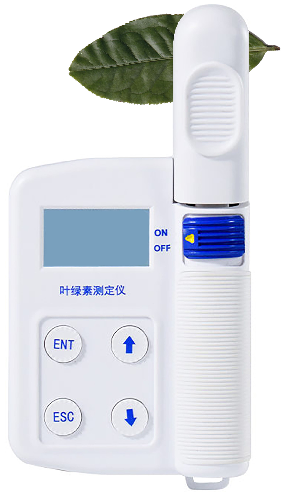 Agronomy 15 02355 g003 Agronomy 15 02355 g003
