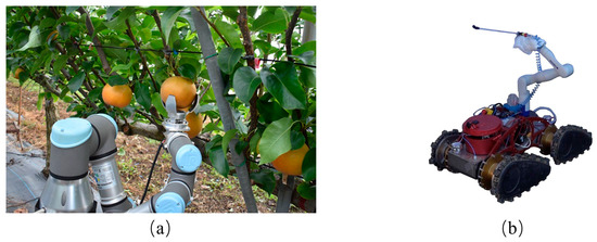 Agronomy 15 02498 g001