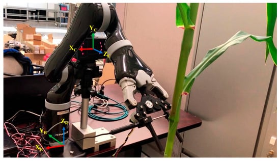 Agronomy 15 02498 g003