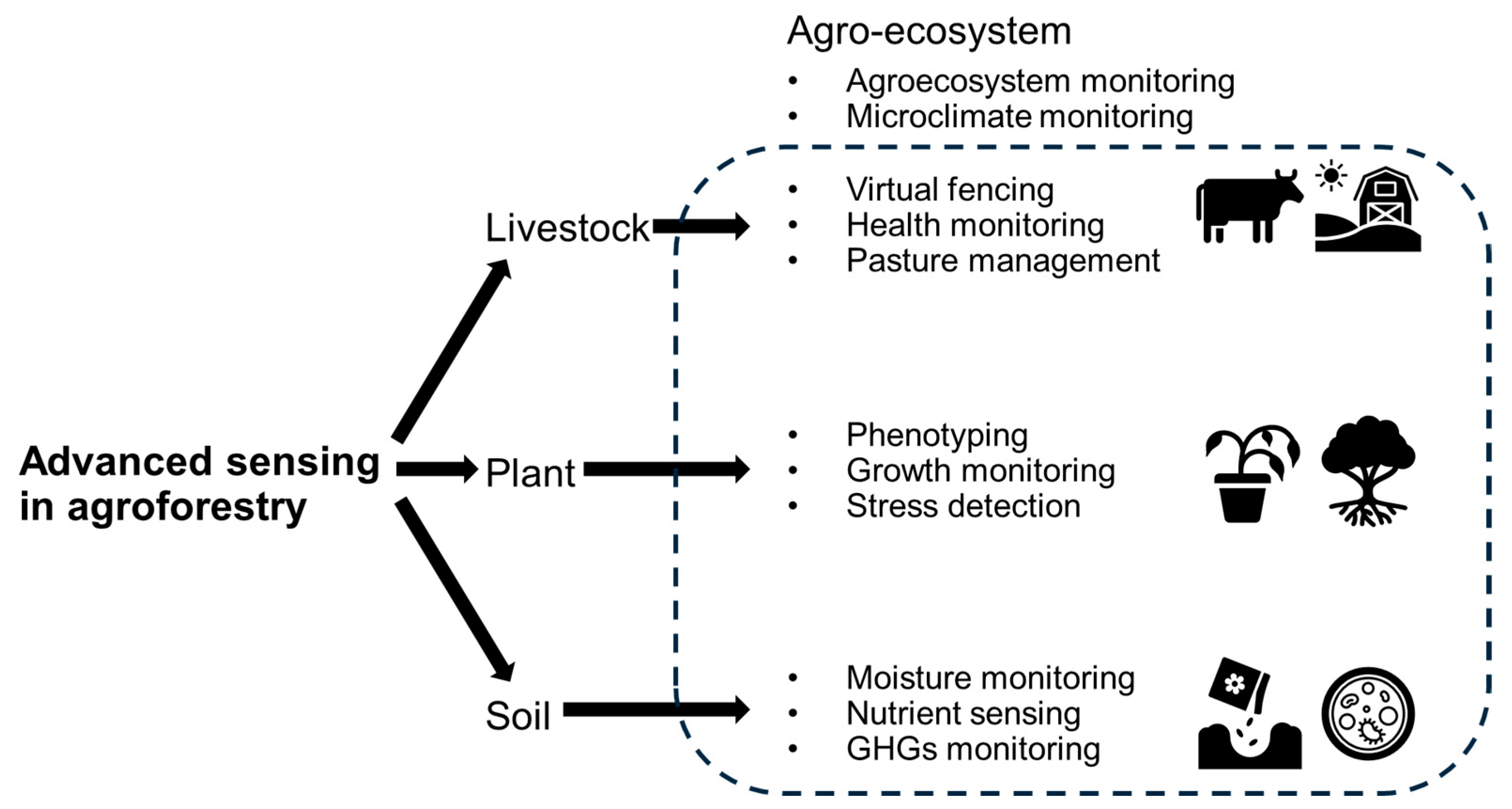 Agronomy 15 02671 g004