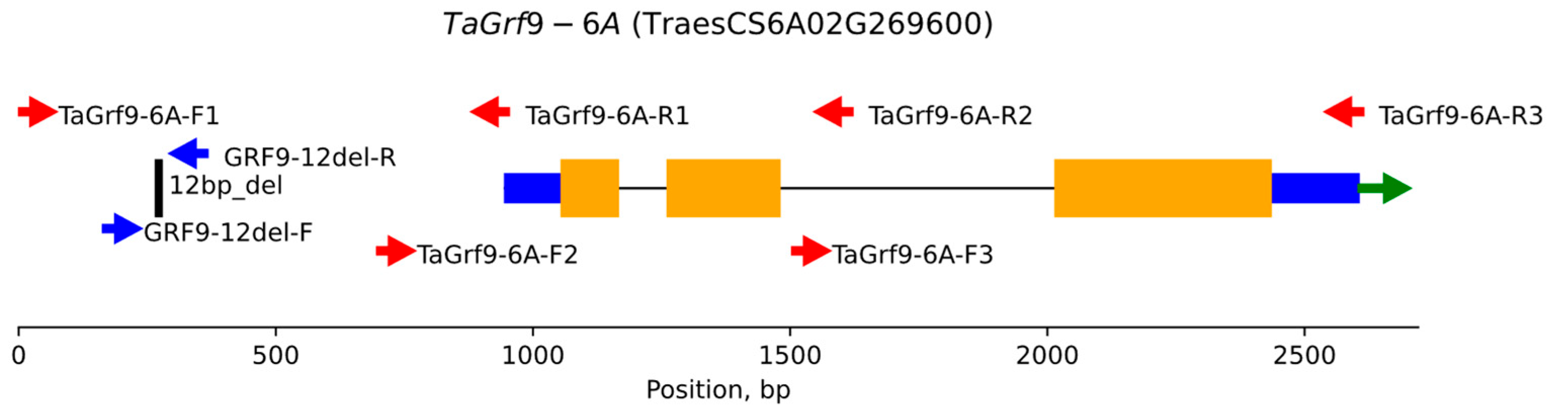 Agronomy 15 02701 g001 Agronomy 15 02701 g001