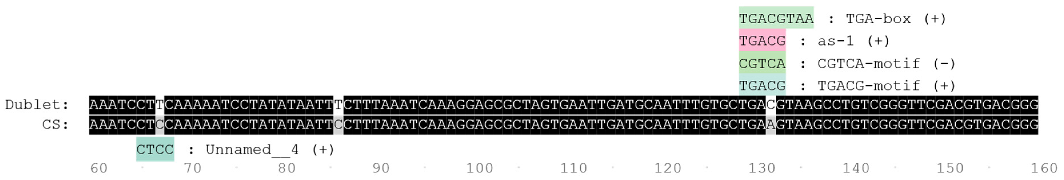 Agronomy 15 02701 g003 Agronomy 15 02701 g003