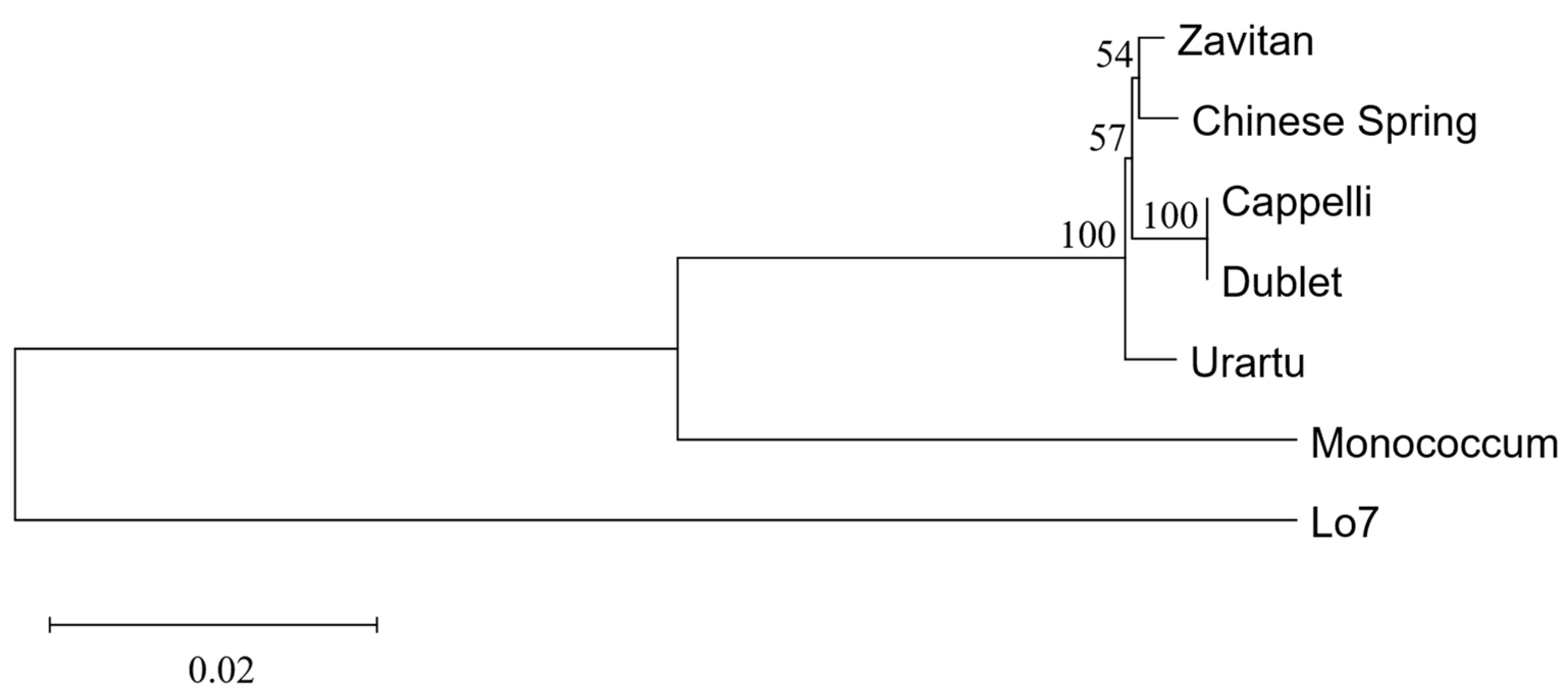 Agronomy 15 02701 g004 Agronomy 15 02701 g004