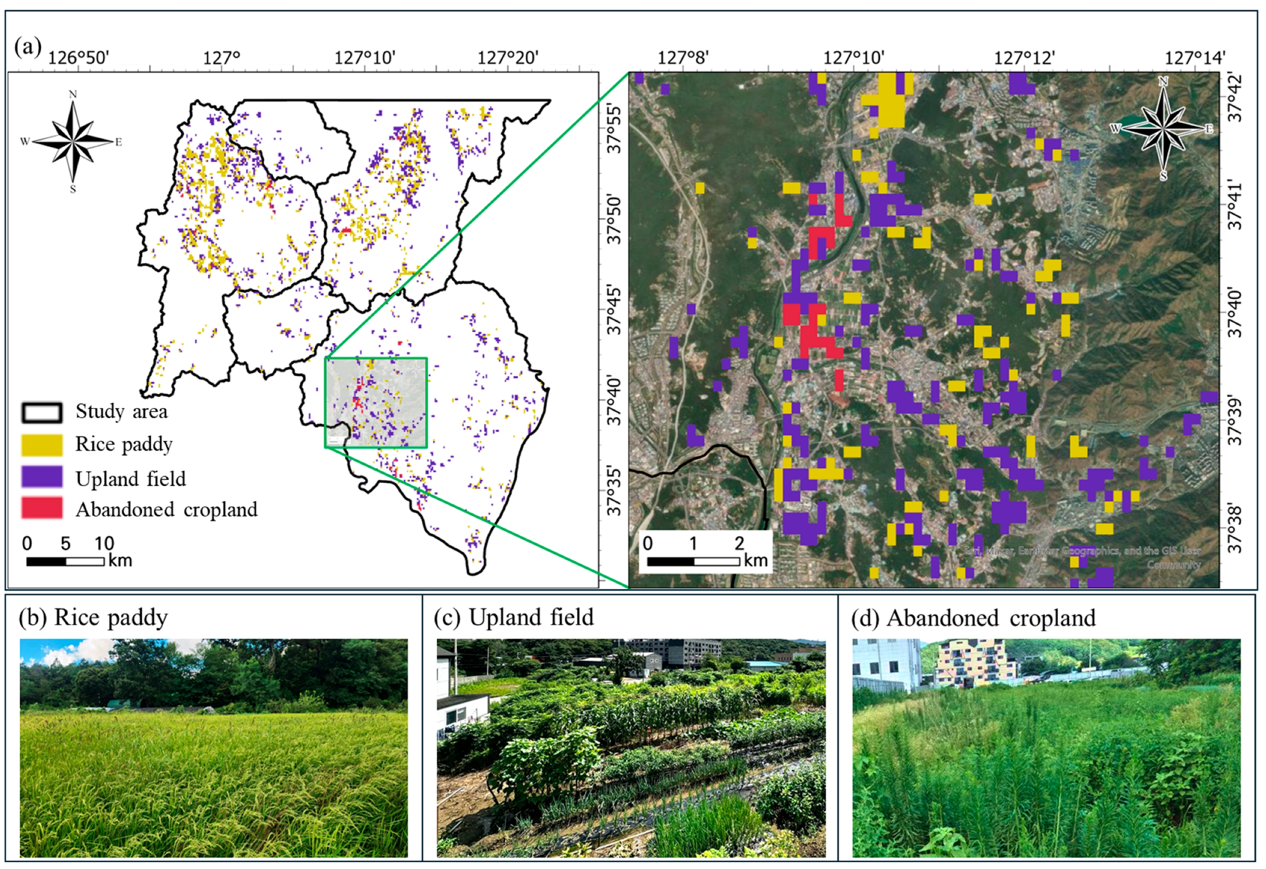 Agronomy 15 02702 g004 Agronomy 15 02702 g004
