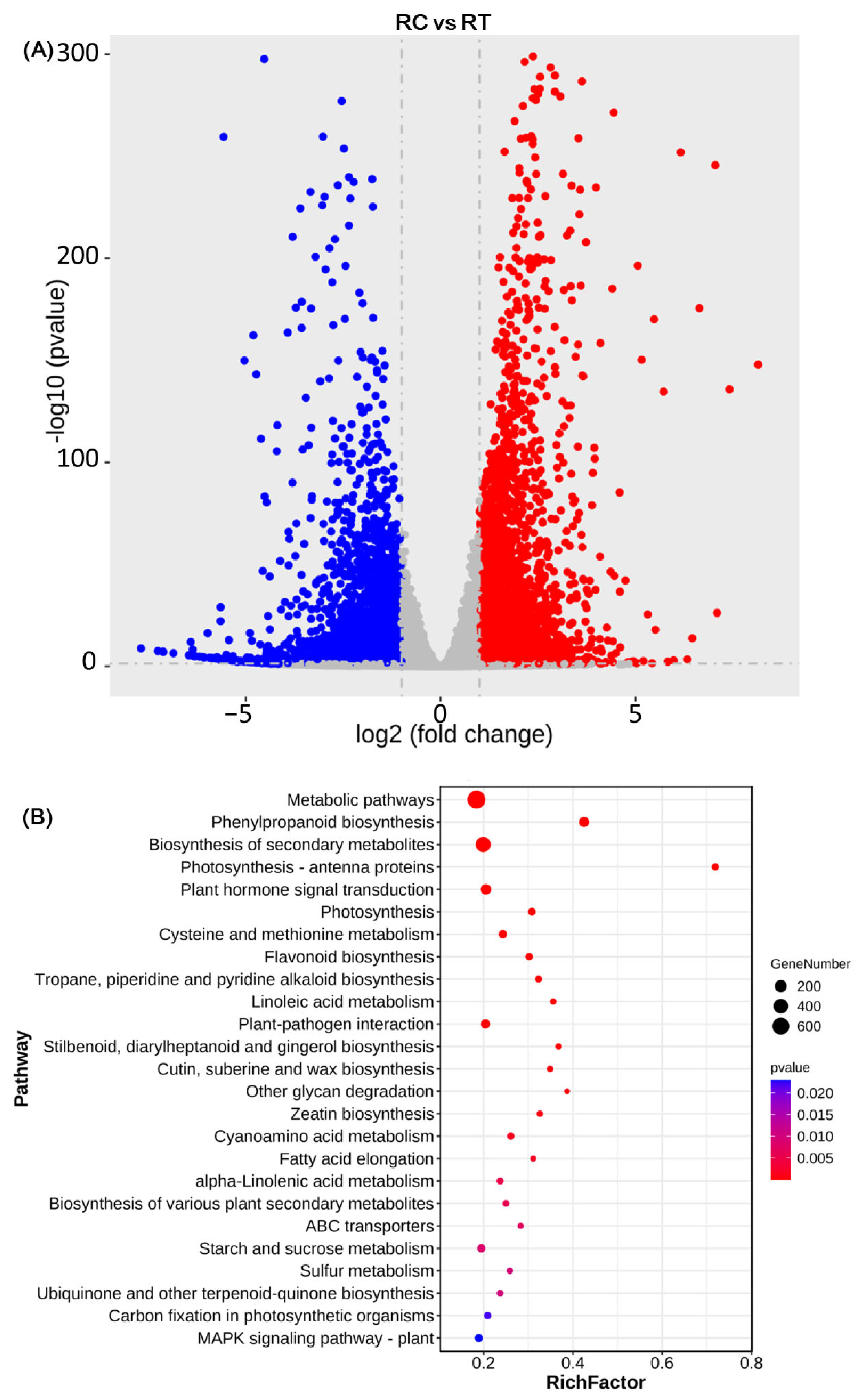 Agronomy 15 02752 g004 Agronomy 15 02752 g004