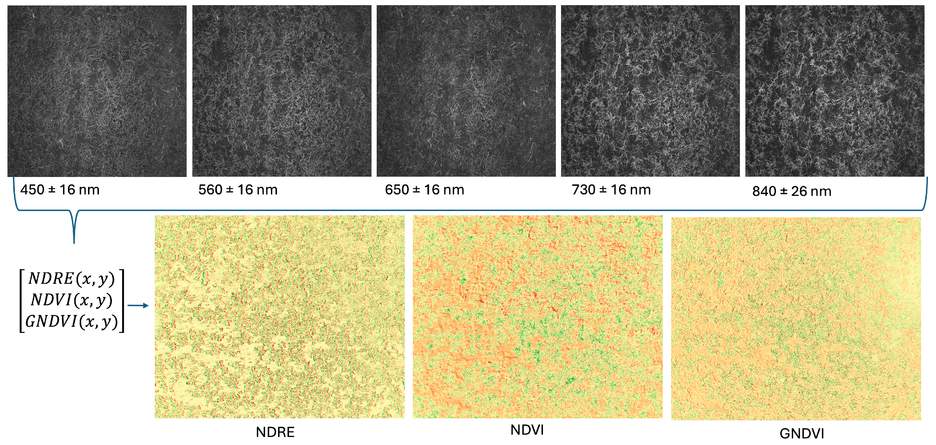 Agronomy 15 02807 g002