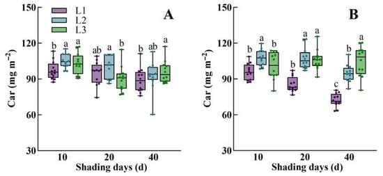 Agronomy 15 02855 g0a1