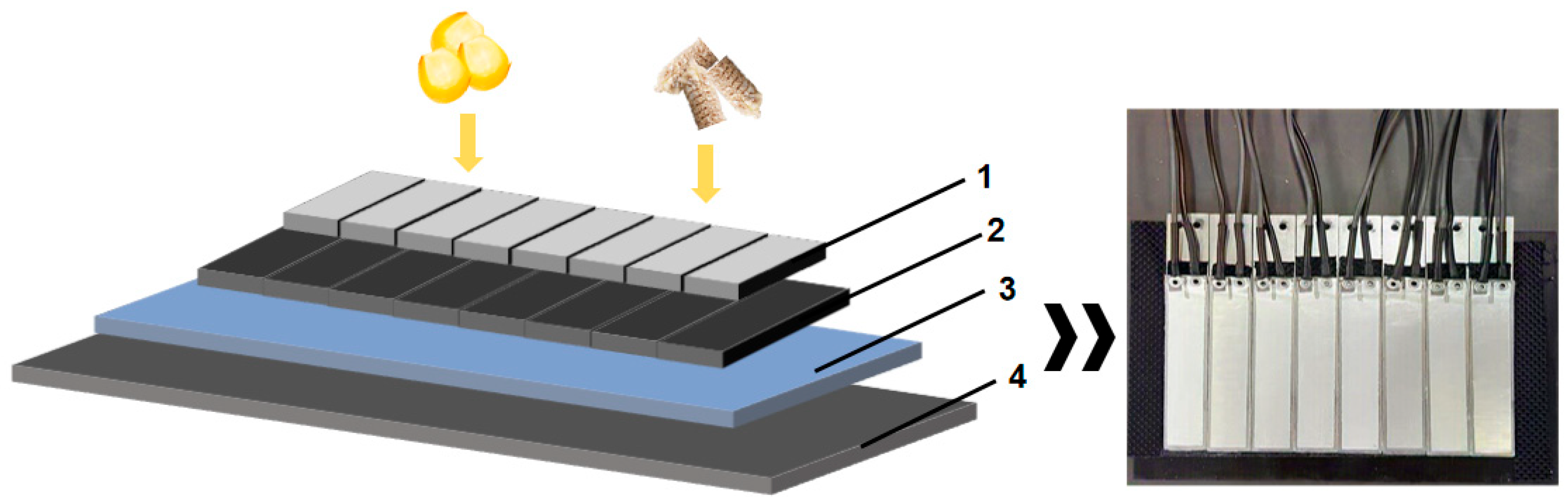 Agronomy 15 02906 g002