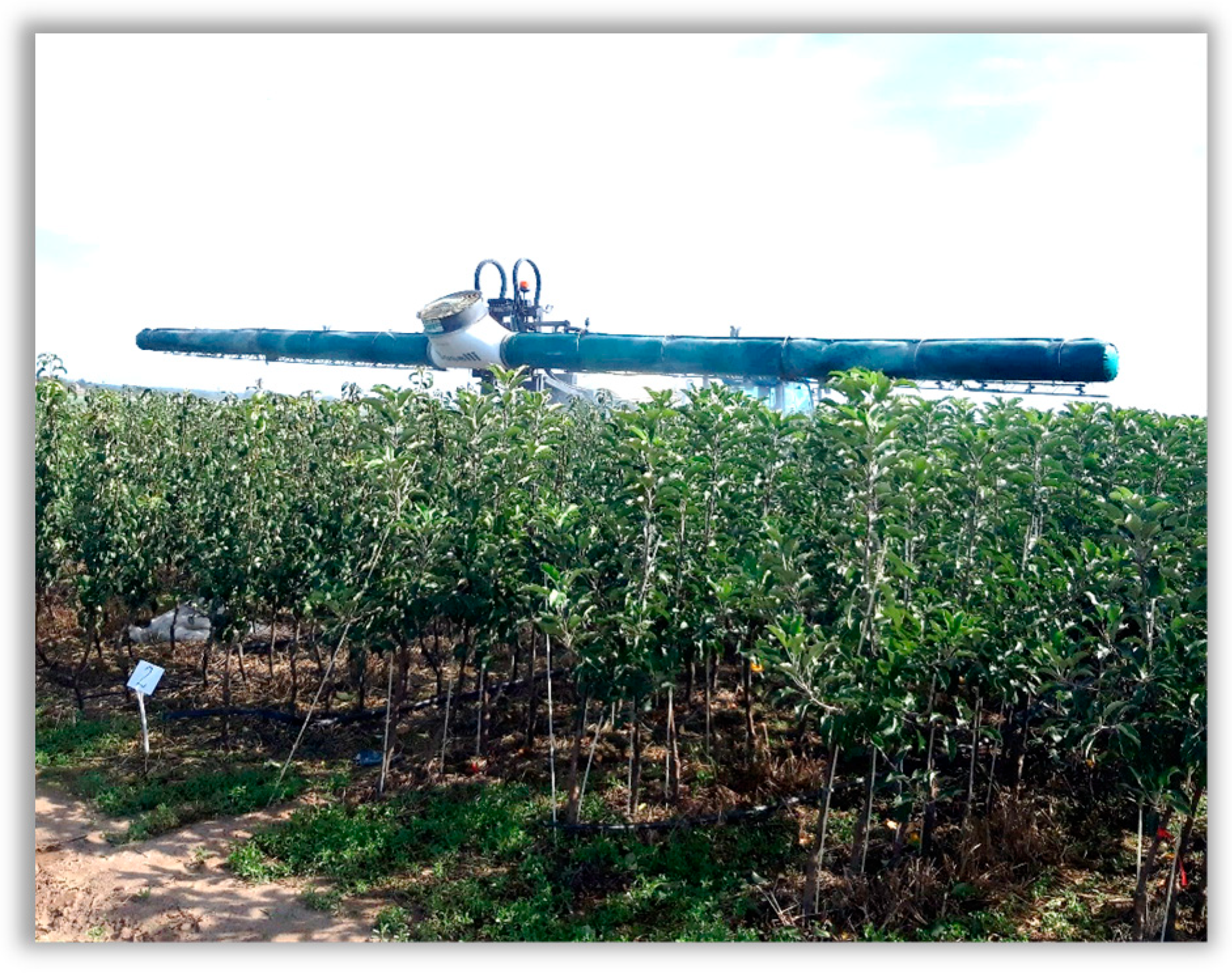 Agronomy 16 00008 g005 Agronomy 16 00008 g005