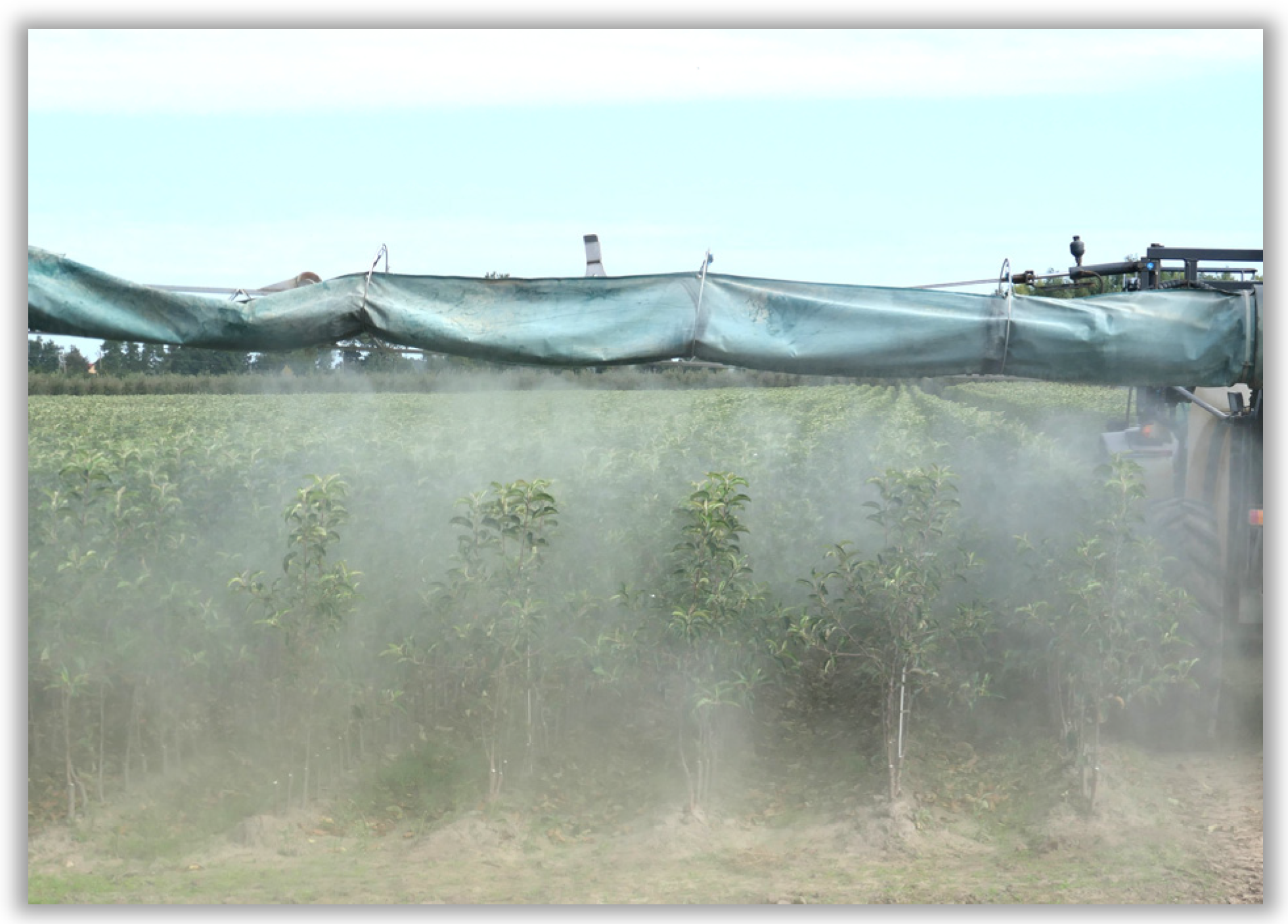 Agronomy 16 00008 g009 Agronomy 16 00008 g009