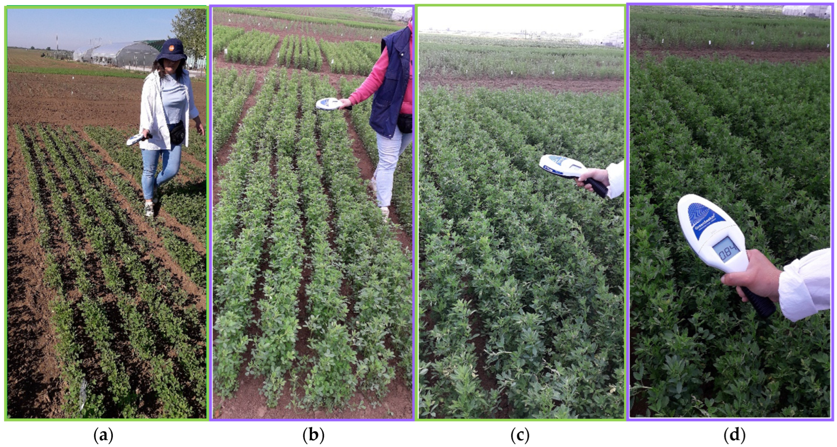 Agronomy 16 00022 g003