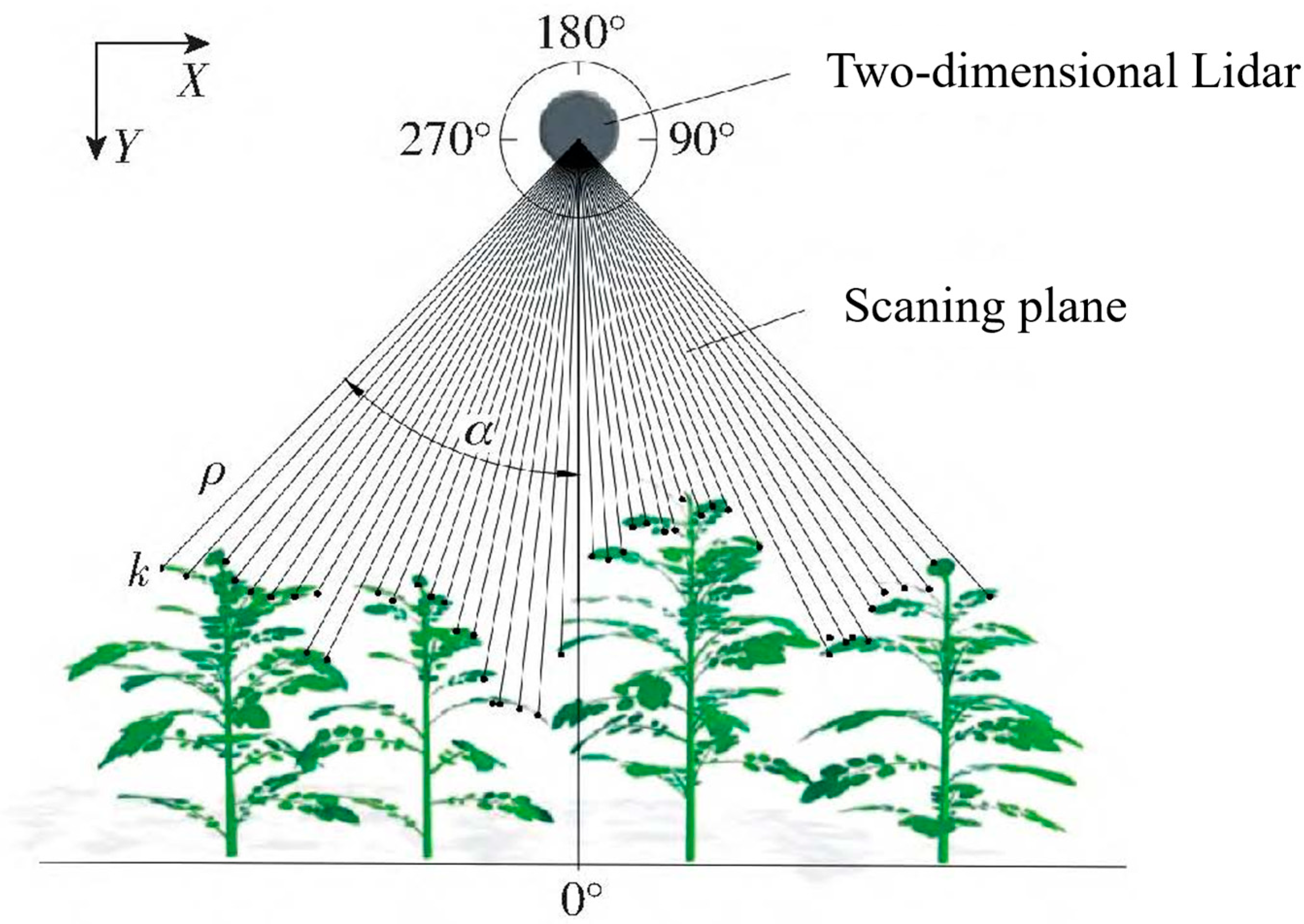 Agronomy 16 00033 g004 Agronomy 16 00033 g004