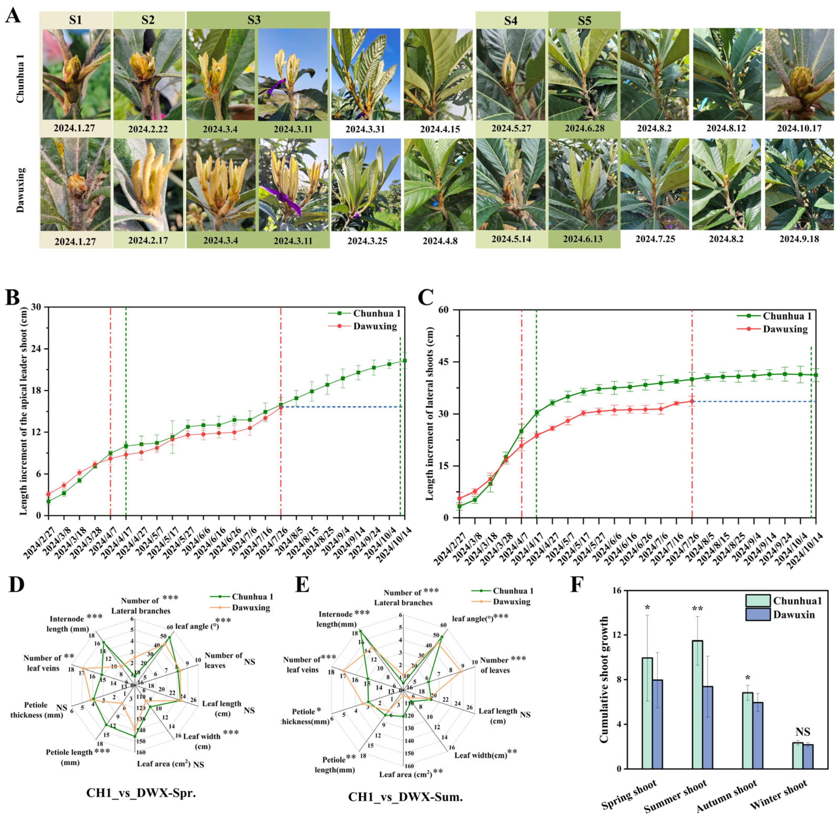 Agronomy 16 00037 g001 Agronomy 16 00037 g001