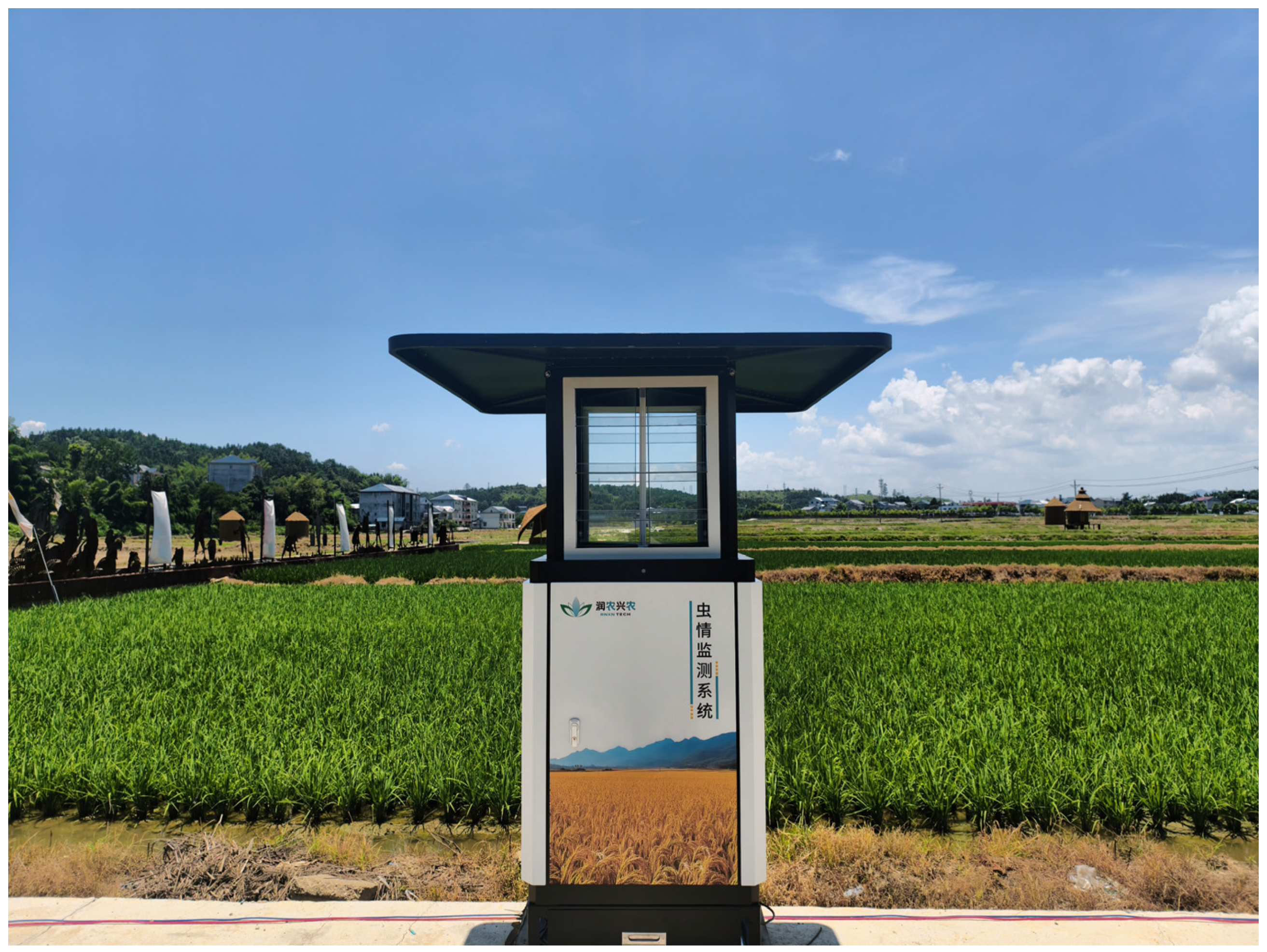 Agronomy 16 00053 g001