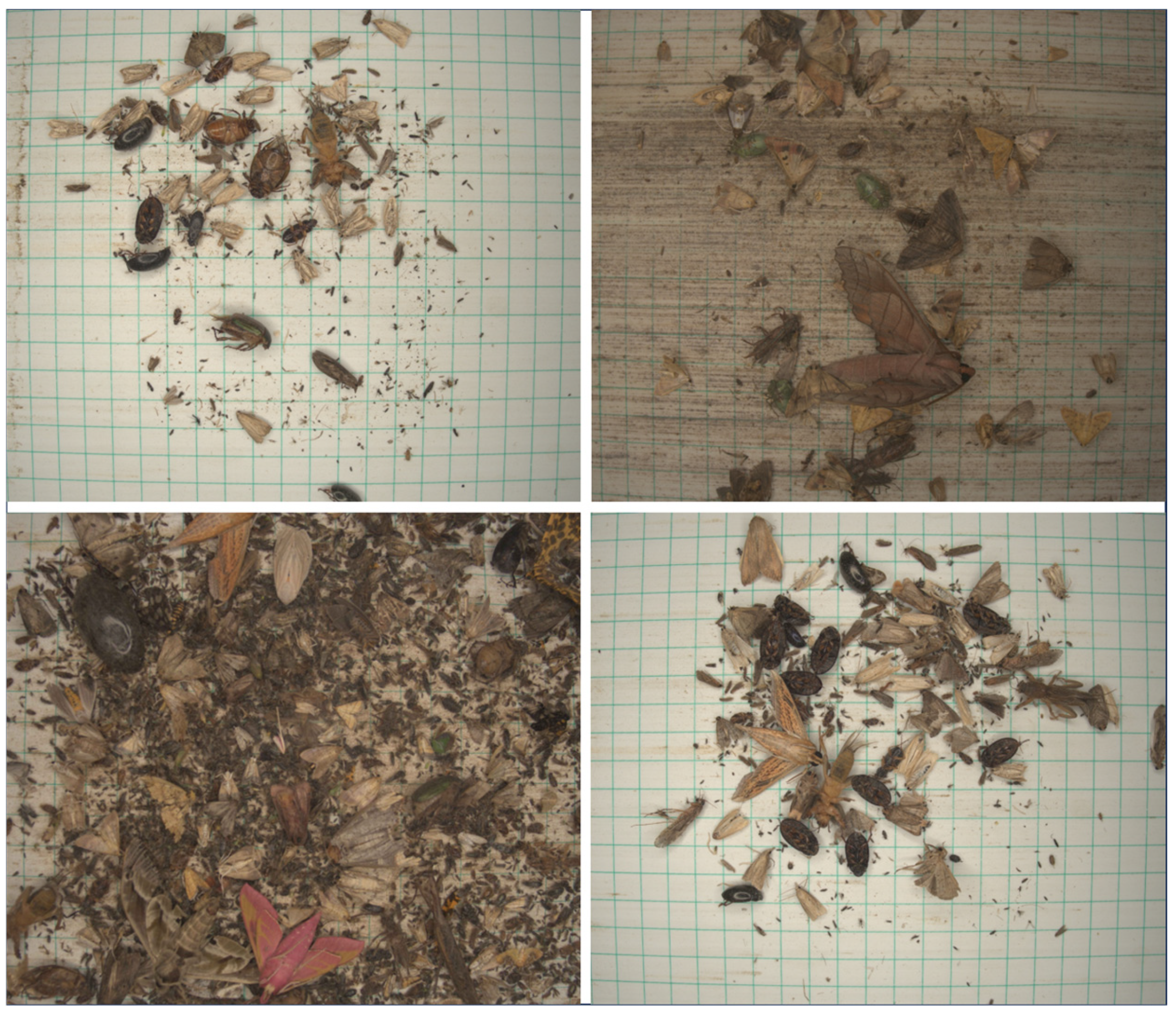 Agronomy 16 00053 g002