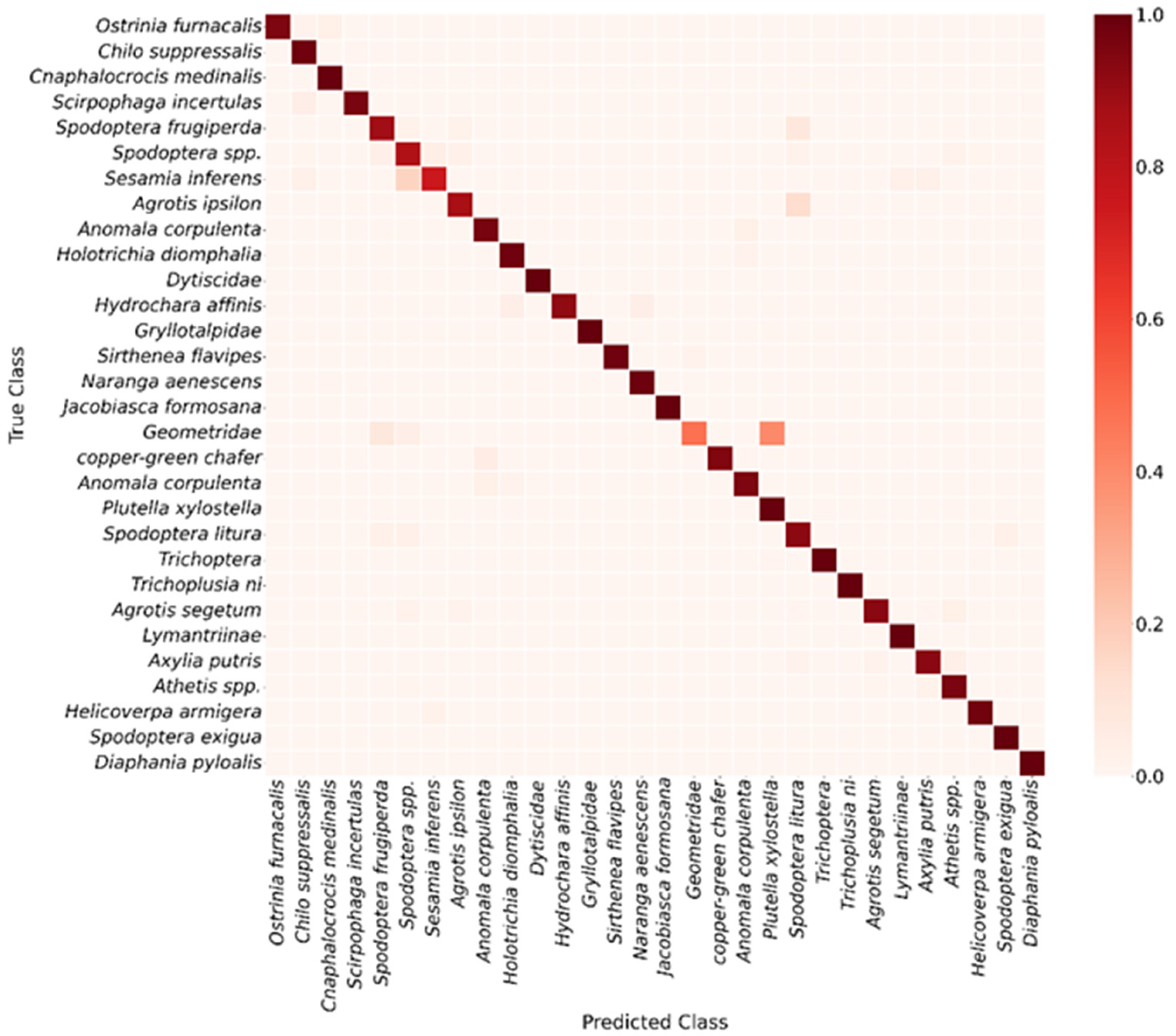 Agronomy 16 00053 g006