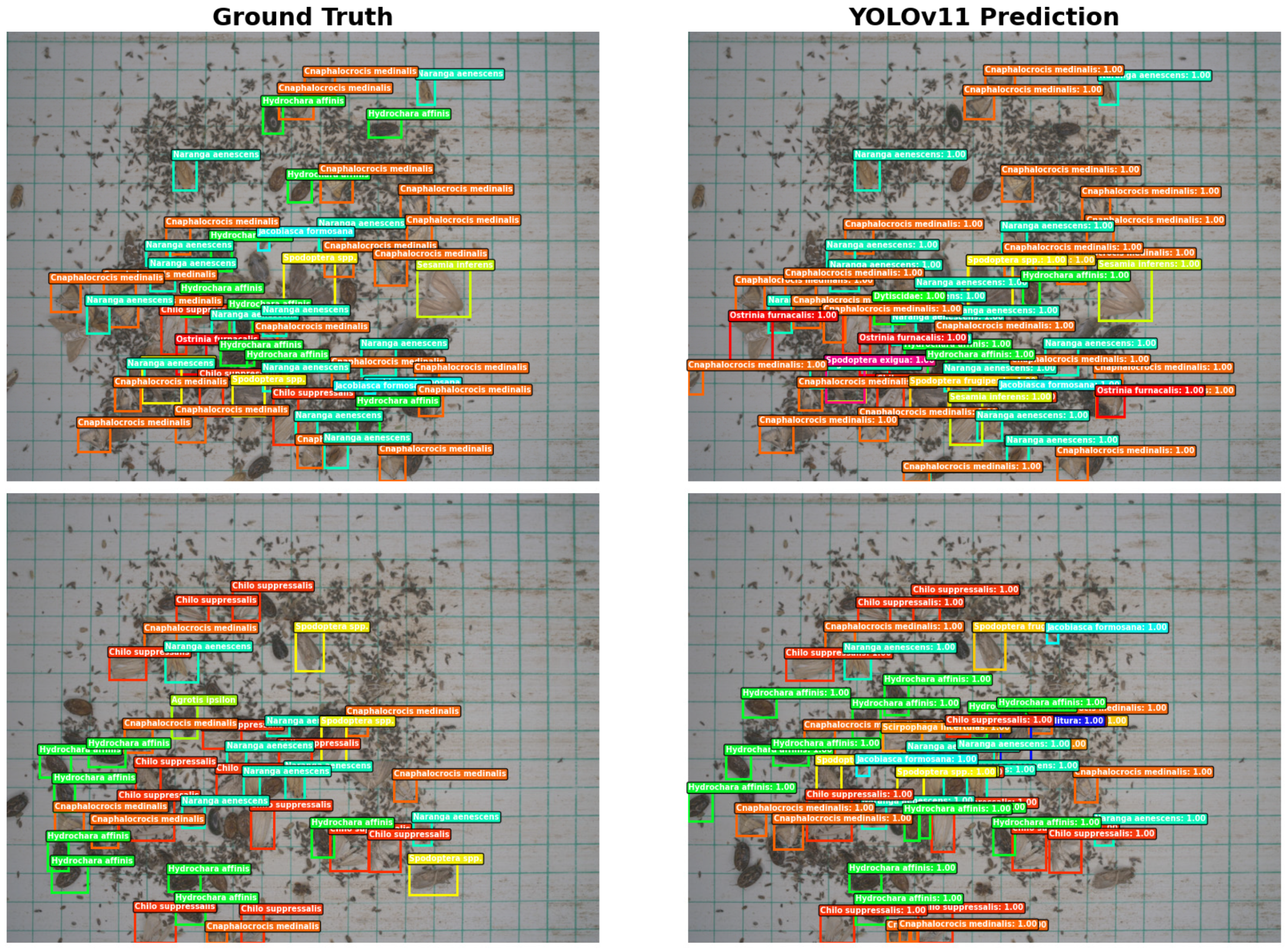 Agronomy 16 00053 g007