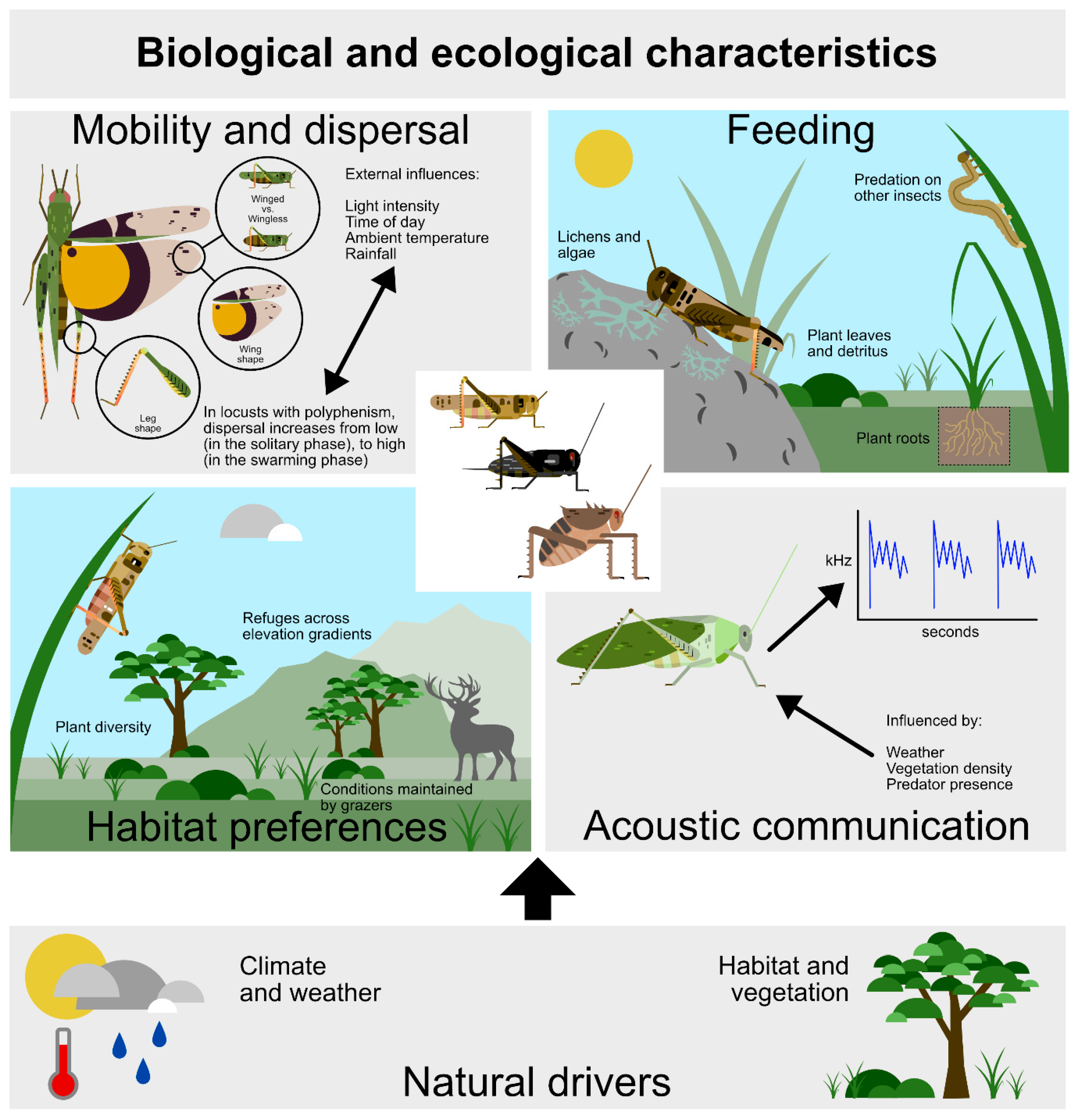 Agronomy 16 00057 g001
