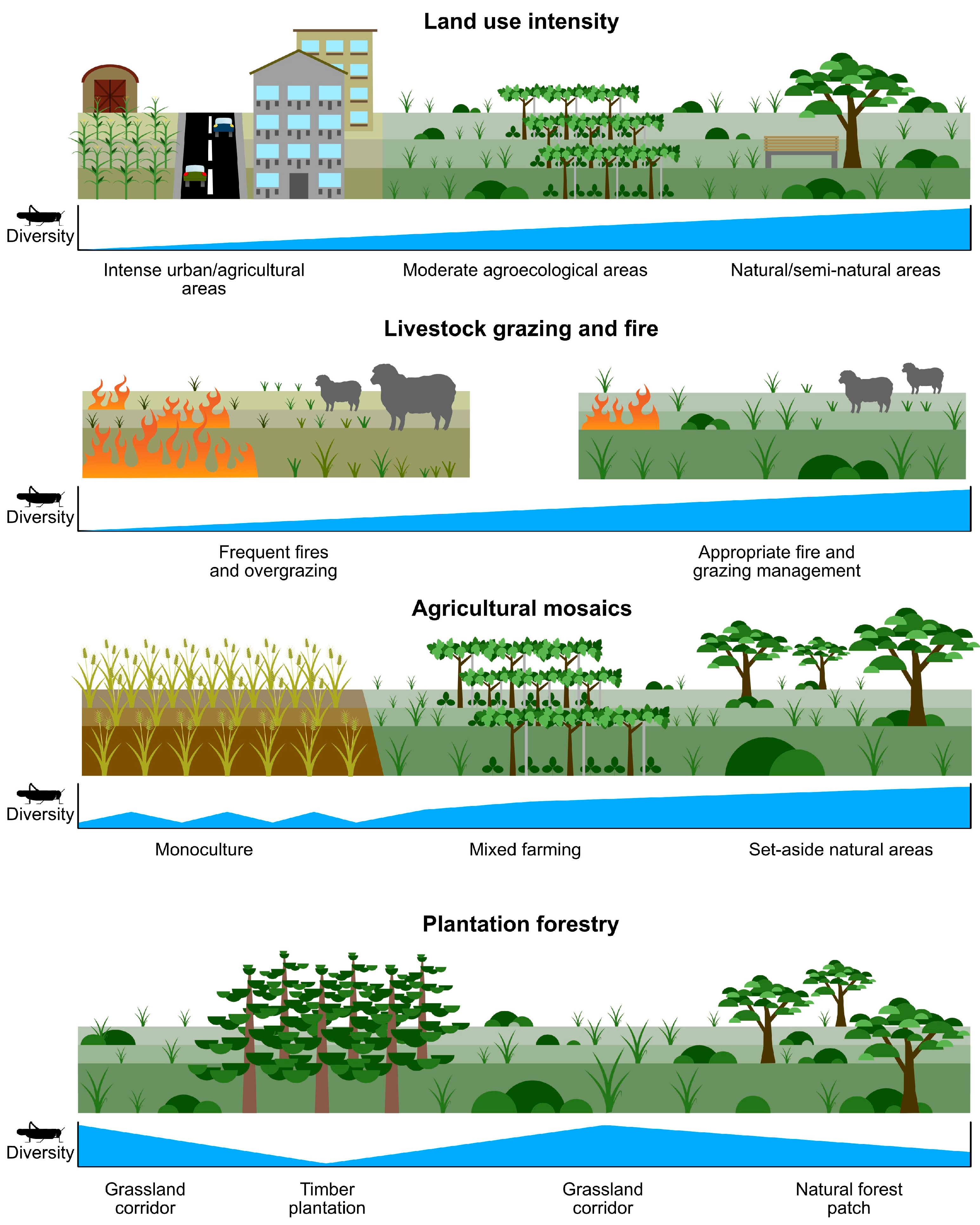 Agronomy 16 00057 g002