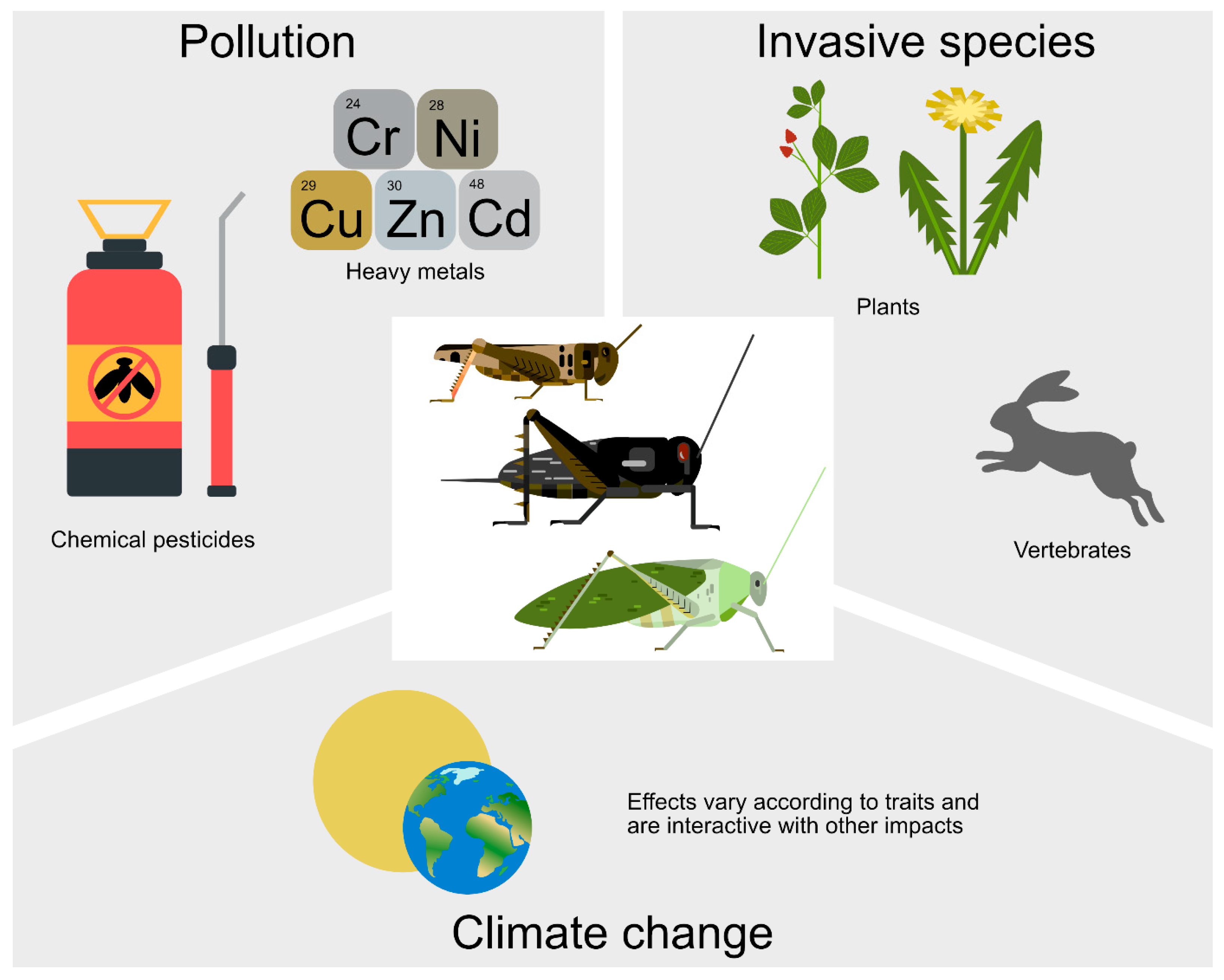 Agronomy 16 00057 g003