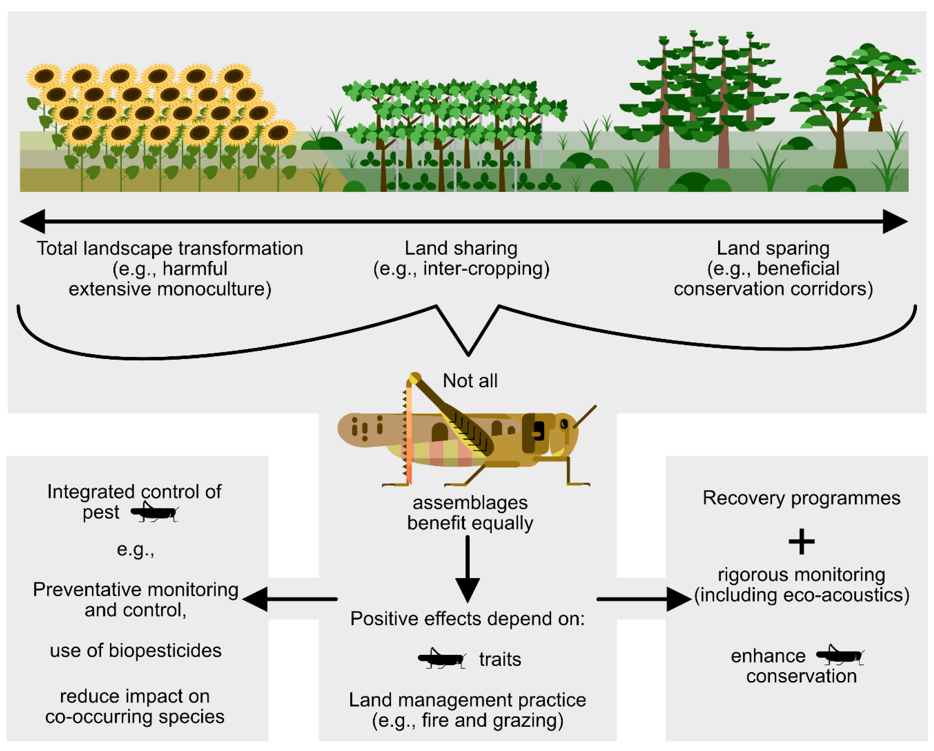 Agronomy 16 00057 g004